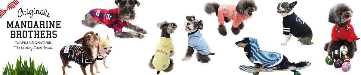 梅雨の季節の犬のお散歩に最適な洋服まとめ！