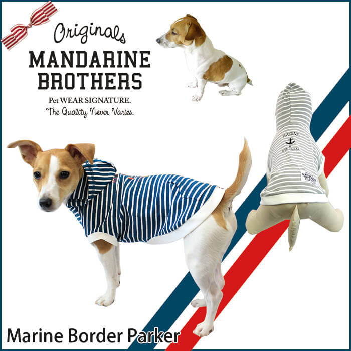 マリンボーダーシャツを着用したモデル犬