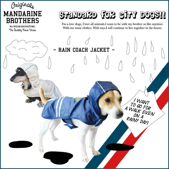 羽織って着られる犬用雨具